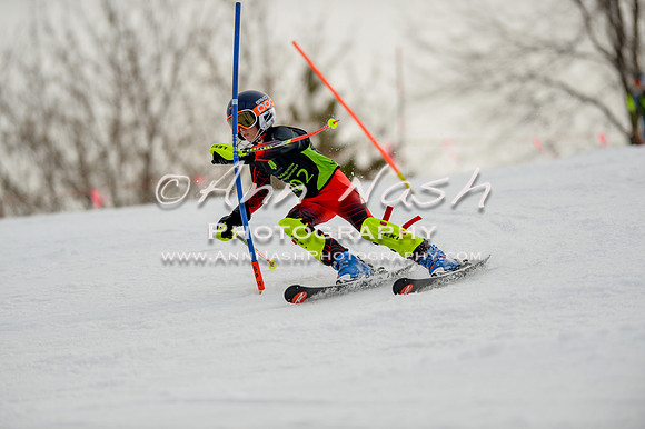 alpine-Feb19-2017-DSC_0623