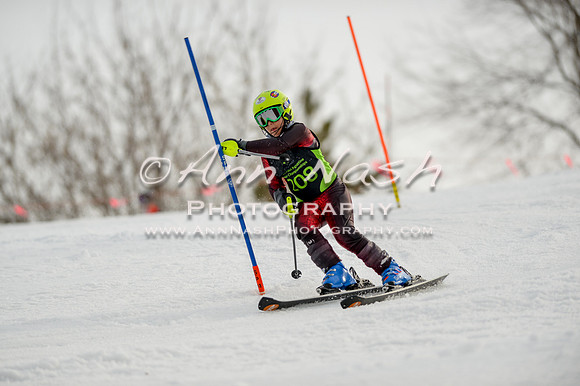 alpine-Feb19-2017-DSC_0851