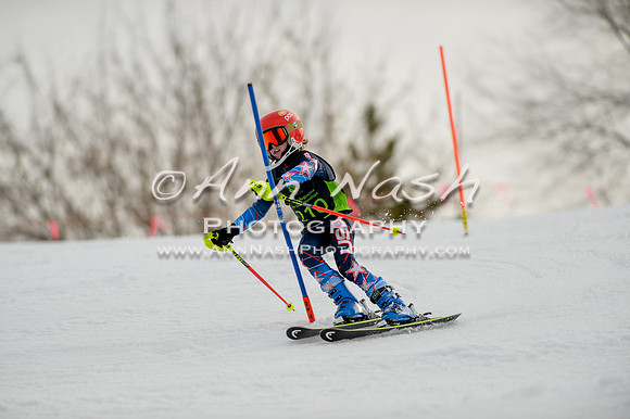 alpine-Feb19-2017-DSC_0532