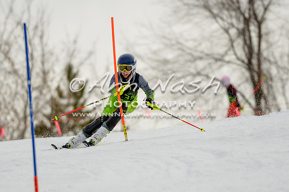 alpine-Feb19-2017-DSC_0563
