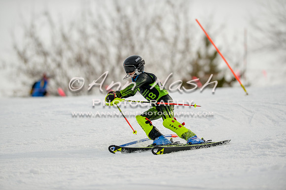 alpine-Feb19-2017-DSC_1124