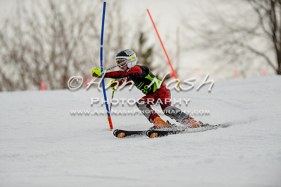 alpine-Feb19-2017-DSC_0666