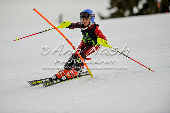 alpine-Feb19-2017-DSC_0590