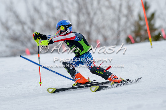 alpine-Feb19-2017-DSC_0360