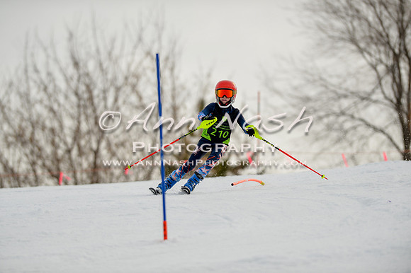 alpine-Feb19-2017-DSC_0531