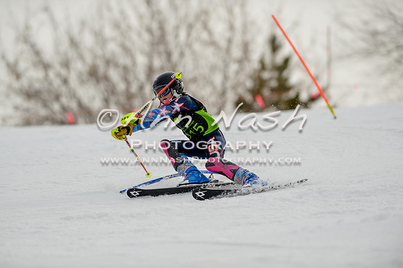 alpine-Feb19-2017-DSC_0686