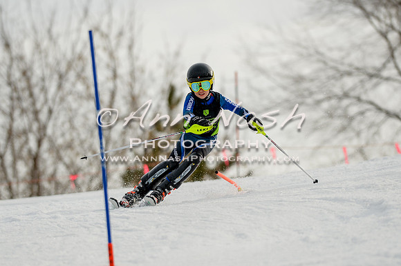 alpine-Feb19-2017-DSC_0921
