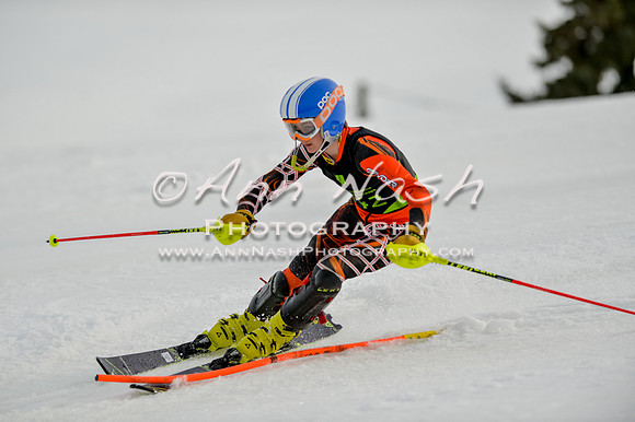 alpine-Feb19-2017-DSC_1068