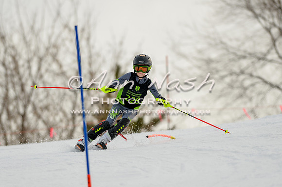 alpine-Feb19-2017-DSC_0611