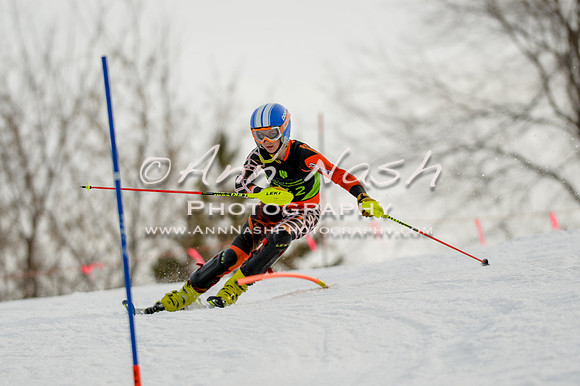alpine-Feb19-2017-DSC_1062
