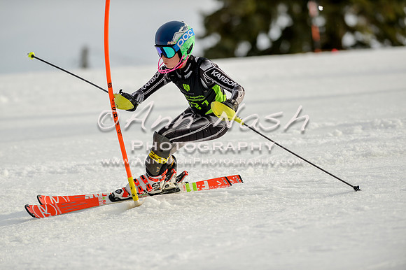alpine-Feb19-2017-DSC_1322