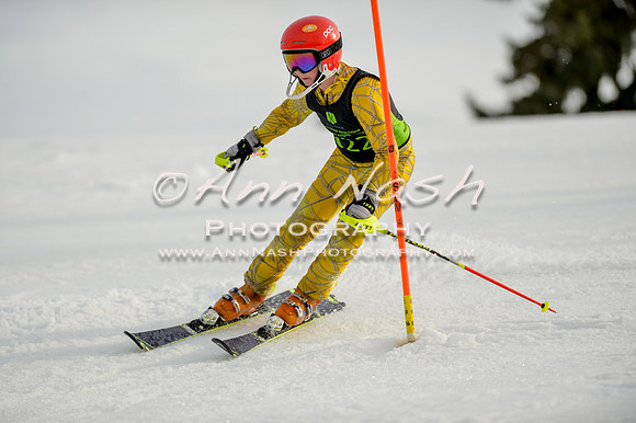 alpine-Feb19-2017-DSC_1193
