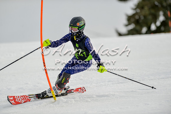 alpine-Feb19-2017-DSC_0327