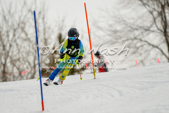 alpine-Feb19-2017-DSC_0784