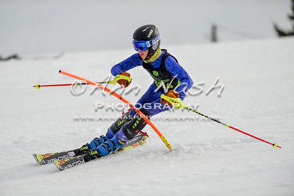 alpine-Feb19-2017-DSC_0310