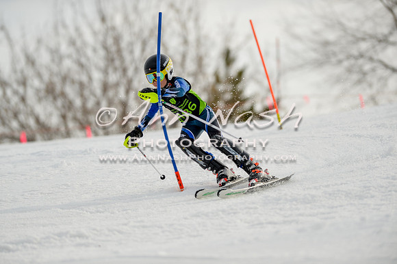 alpine-Feb19-2017-DSC_0923