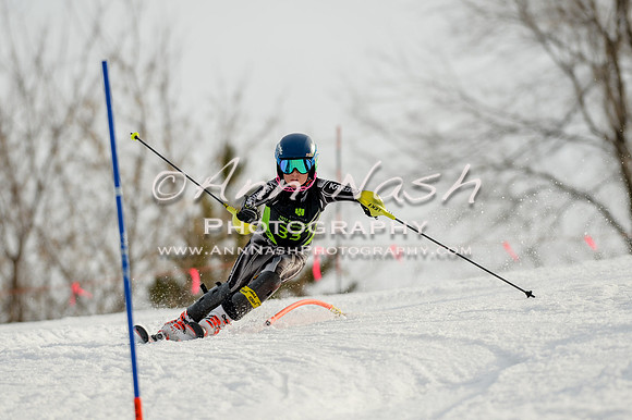 alpine-Feb19-2017-DSC_1318