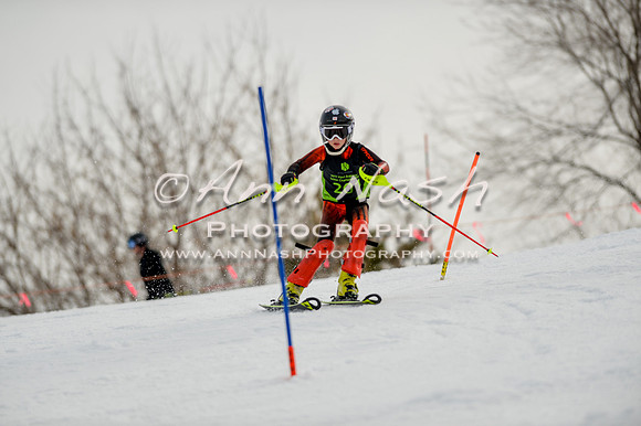 alpine-Feb19-2017-DSC_0436