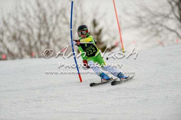 alpine-Feb19-2017-DSC_0768