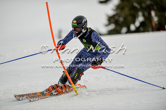 alpine-Feb19-2017-DSC_1095