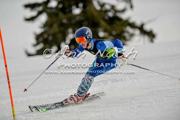 alpine-Feb19-2017-DSC_1164