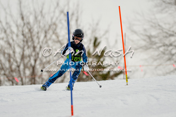 alpine-Feb19-2017-DSC_0418