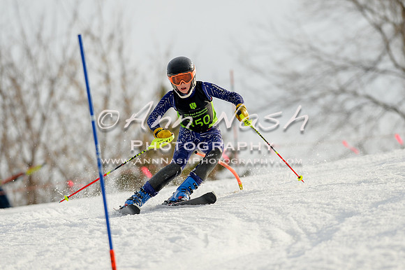 alpine-Feb19-2017-DSC_1378