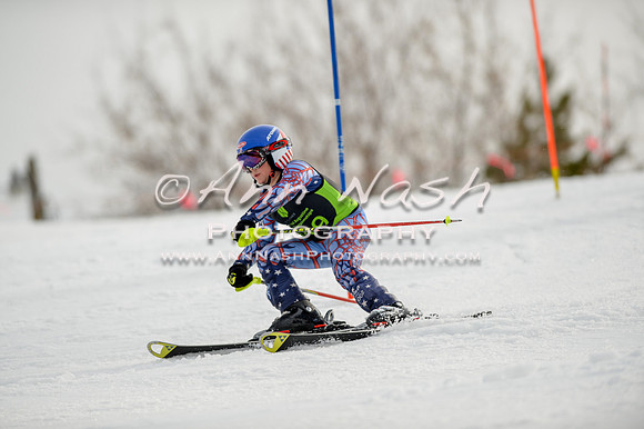 alpine-Feb19-2017-DSC_0396
