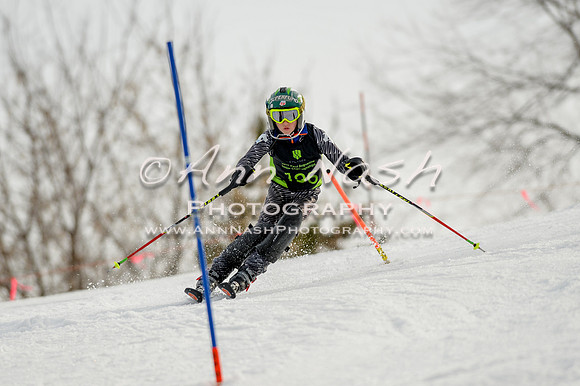 alpine-Feb19-2017-DSC_0862