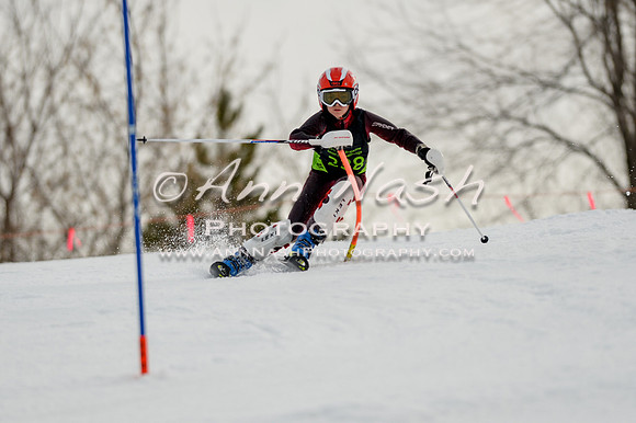 alpine-Feb19-2017-DSC_0517
