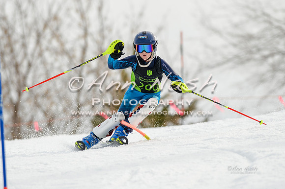 alpine-Feb19-2017-DSC_0315