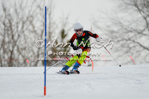 alpine-Feb19-2017-DSC_0400