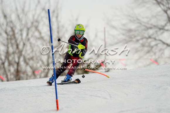 alpine-Feb19-2017-DSC_0850