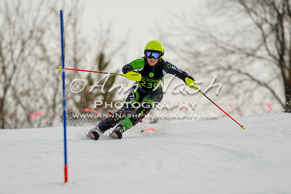 alpine-Feb19-2017-DSC_0725