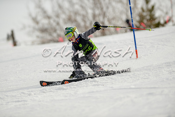 alpine-Feb19-2017-DSC_0865