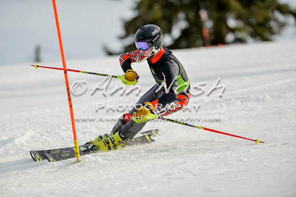 alpine-Feb19-2017-DSC_1367