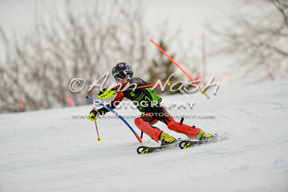 alpine-Feb19-2017-DSC_0438