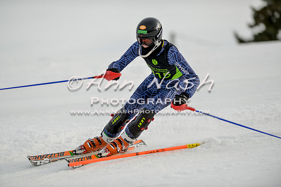 alpine-Feb19-2017-DSC_1096