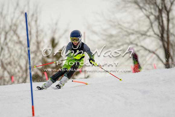 alpine-Feb19-2017-DSC_0564