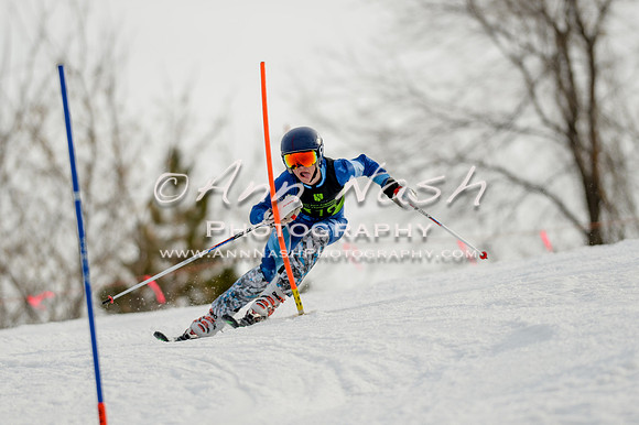 alpine-Feb19-2017-DSC_1158