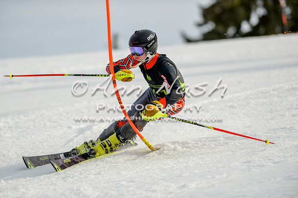 alpine-Feb19-2017-DSC_1368