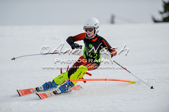 alpine-Feb19-2017-DSC_0406