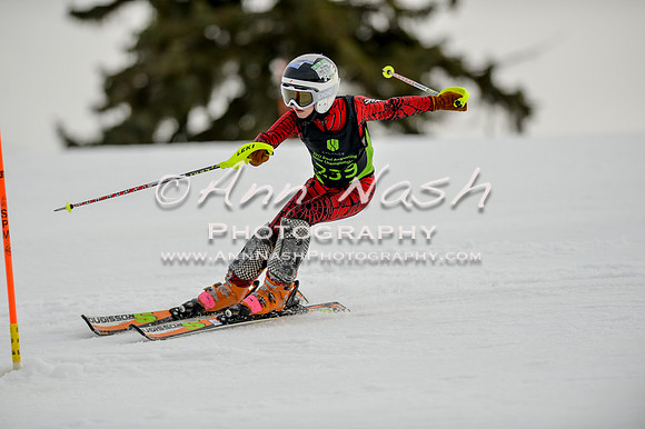 alpine-Feb19-2017-DSC_0669