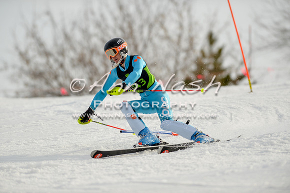 alpine-Feb19-2017-DSC_1297