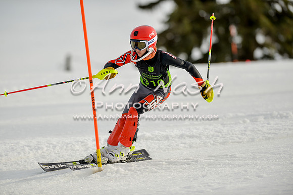 alpine-Feb19-2017-DSC_1252