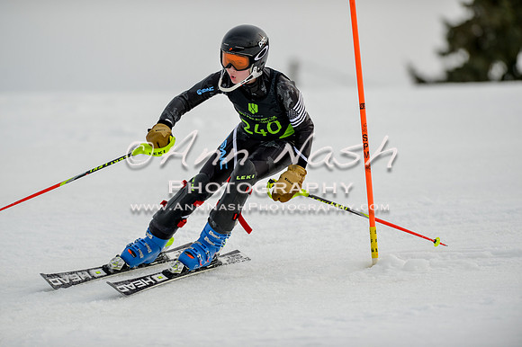 alpine-Feb19-2017-DSC_0511