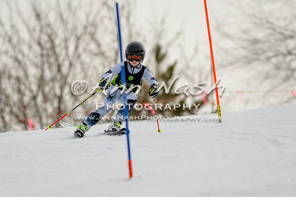 alpine-Feb19-2017-DSC_0641