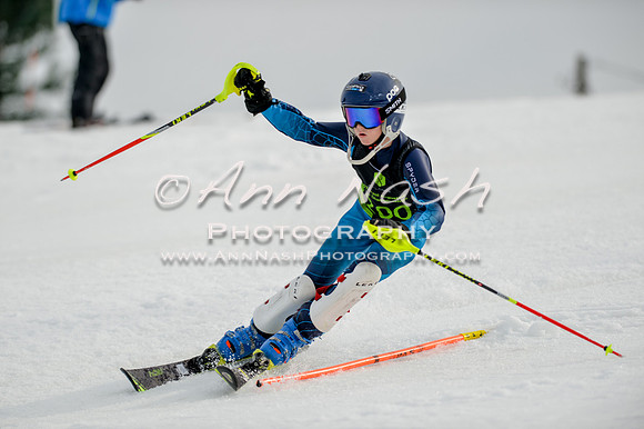 alpine-Feb19-2017-DSC_0319