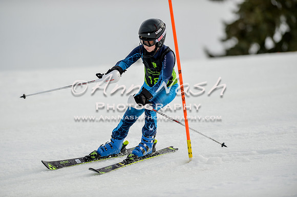 alpine-Feb19-2017-DSC_0421