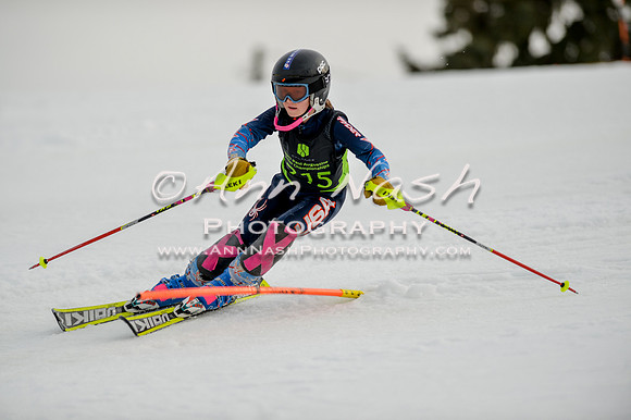 alpine-Feb19-2017-DSC_0690
